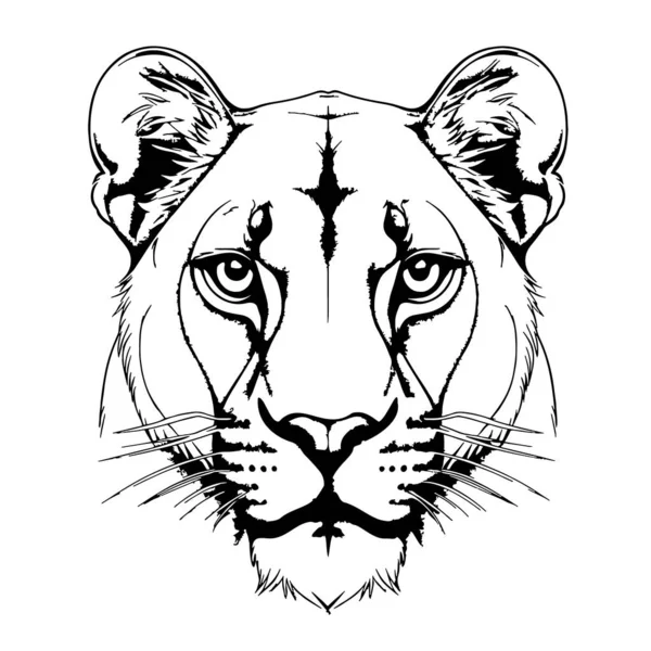 Lioness Face Cartoon Hand Drawn Sketch Illustration Wild Animals — Stock Vector