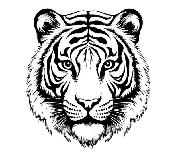 Testa Tigre Disegnato Mano Schizzo Vettoriale Animali Safari Selvatici — Vettoriale Stock