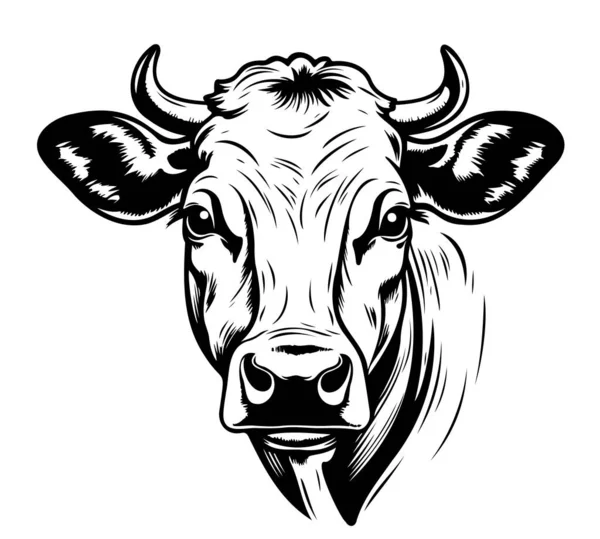 stock vector Farm Cow animal sketch hand drawn Vector Cartoon image