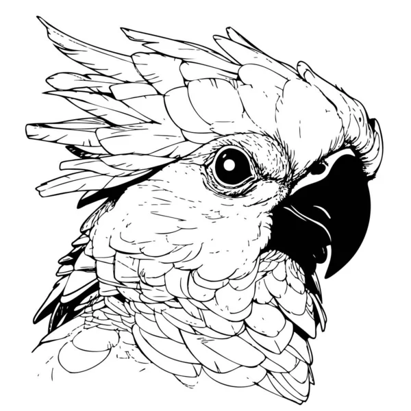 Cockatoo Pappagallo Cartone Animato Testa Disegnato Mano Schizzo Illustrazione Uccelli — Vettoriale Stock