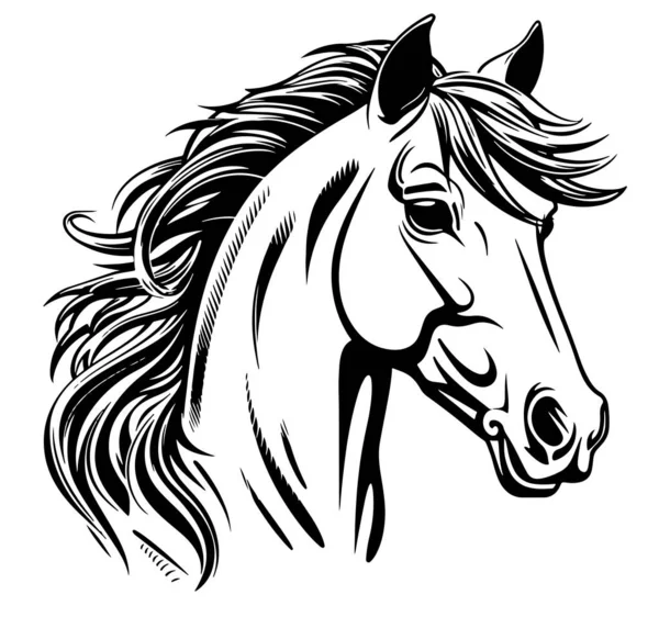 Schizzo Disegnato Mano Cavallo Vettore Animali Fattoria — Vettoriale Stock