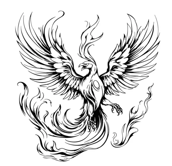 Esboço Desenhado Mão Phoenix Birds Vector Mítico —  Vetores de Stock