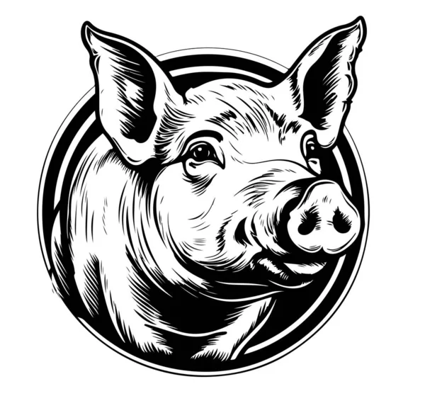 Świnia Twarz Logo Ręcznie Rysowane Szkic Wektor Ilustracja Zwierzęta Gospodarskie — Wektor stockowy