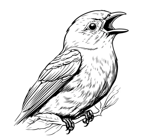 Grazioso Canto Uccello Disegnato Mano Schizzo Vector — Vettoriale Stock