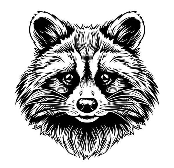 Cute Raccoon Sketch Hand Drawn Comic Style Vector — Stock Vector