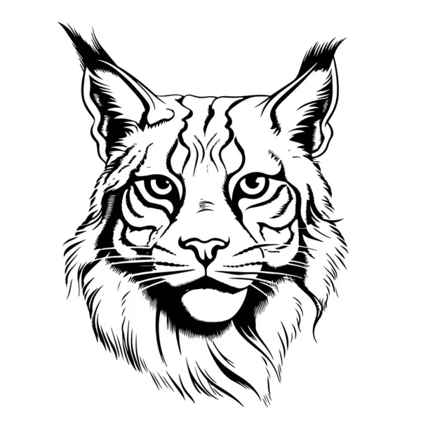 Lynx Gezicht Met Hand Getekend Schets Vector Illustratie Wilde Dieren — Stockvector