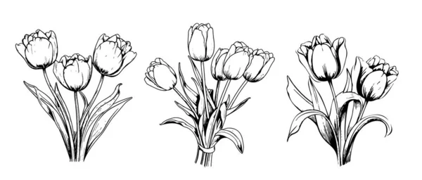 Tulipán Conjunto Bosquejo Dibujado Mano Flores Vector — Vector de stock