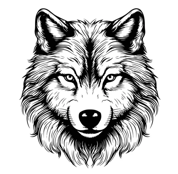 Wolf Head Realistic Hand Drawn Sketch Vector Wild Animals — Stock Vector