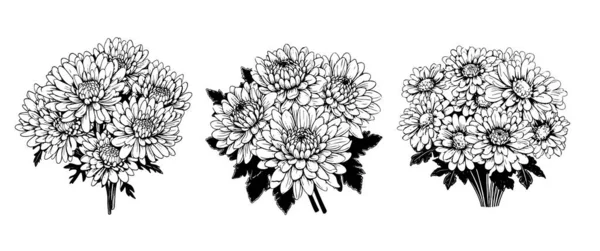 Ramo Crisantemos Bosquejo Dibujado Mano Estilo Cómico Vector Flores Jardín — Vector de stock