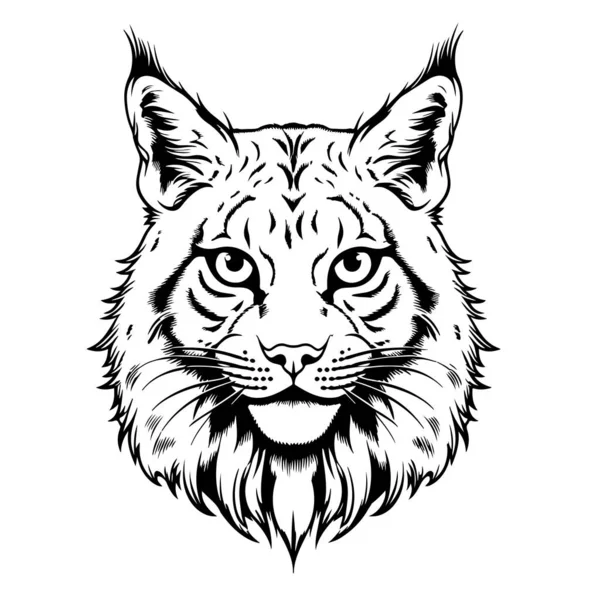 Lynx Huvud Hand Ritad Skiss Vektor Illustration Vilda Djur — Stock vektor