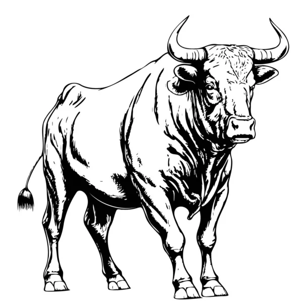 Touro Esboço Mão Desenhada Vetor Ilustração Fazenda Animal — Vetor de Stock