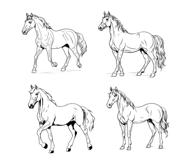 Horse Set Handgezeichnete Skizze Vector Farm Animals — Stockvektor
