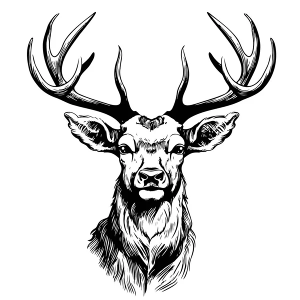 Wild Deer Face Sketch Hand Drawn Sketch Vector — Stock Vector