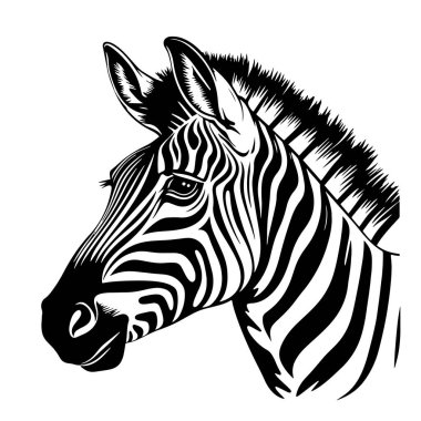 Zebra Baş Taslak El Grafik Safari Hayvanları Vektörü Çizdi