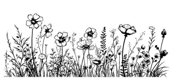 Náčrtek Okraje Wildflowers Ručně Kreslený Náčrt — Stockový vektor