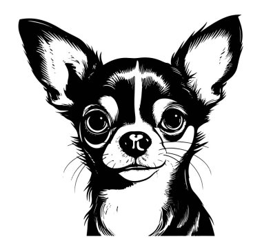 Chihuahua baş taslak el çizimi grafiksel hayvan vektörü