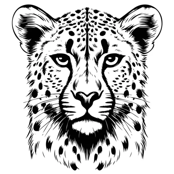 Gepardí Hlava Skica Ručně Kreslené Grafiky Safari Zvířata Vektor — Stockový vektor