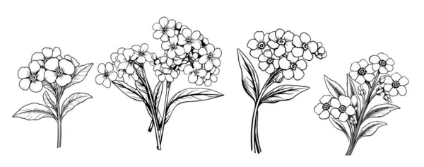 Felejtsd Nem Virág Készlet Vázlat Kézzel Rajzolt Vector Garden Virágok — Stock Vector