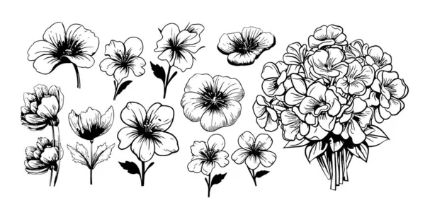 Violet Λουλούδι Σετ Σκίτσο Χέρι Που Διάνυσμα Λουλούδια Κήπο — Διανυσματικό Αρχείο