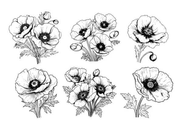 Szkic Makowy Kolekcja Strony Narysowane Stylu Komicznym Wektor Dzikie Kwiaty — Wektor stockowy