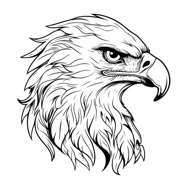 Szkic Głowy Orła Narysowany Ręcznie Wektor Dzikie Ptaki — Wektor stockowy