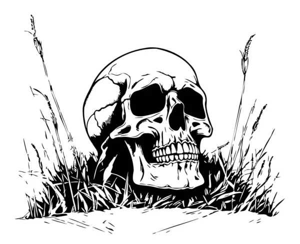 草のスケッチの手の人間の頭蓋骨はベクターの死の日を描きました — ストックベクタ