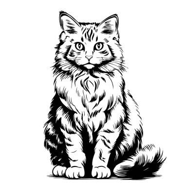 Yumuşak kedi taslak el çizimi Vektör illüstrasyon Evcil Hayvanlar