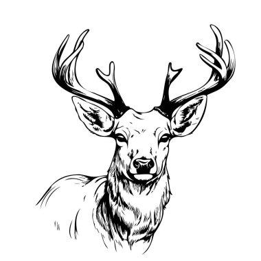 Deer sketch hand drawn. Forest animals .Symbol and sign of new year. Vector illustration clipart