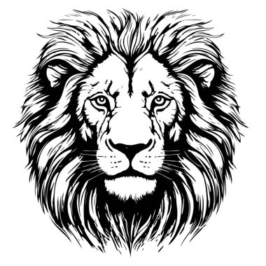 Aslan portresi aslan başı çizim el oyma stili Vahşi Hayvan Vektörü