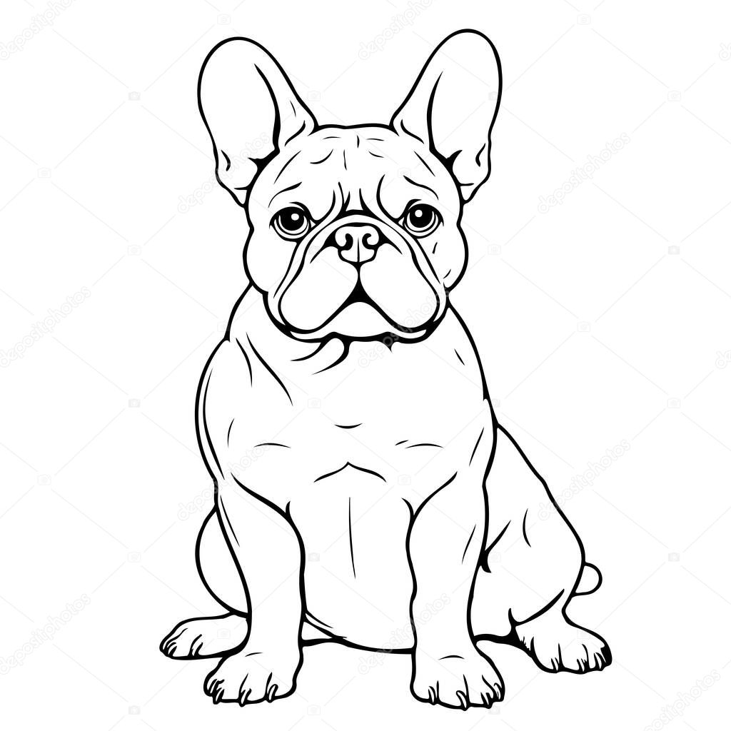 French bulldog hand drawn sketch in Comic style coloring book,Pets