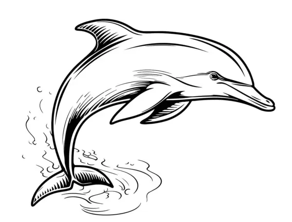 stock vector sketch dolphin cartoon icon doodle jumping vector hand drawn on white board illustration