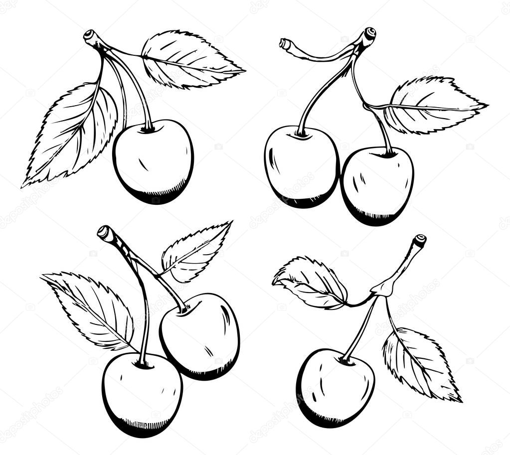 Vector Set of berries, a cherry, couple of cheries, a bunch. A collection in various