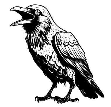 Raven robot resmini çizmiş. Vahşi kuşlar çizmiş.