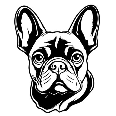 Çizgi roman boyama kitabında Fransız bulldog kafa çizimi, Pets