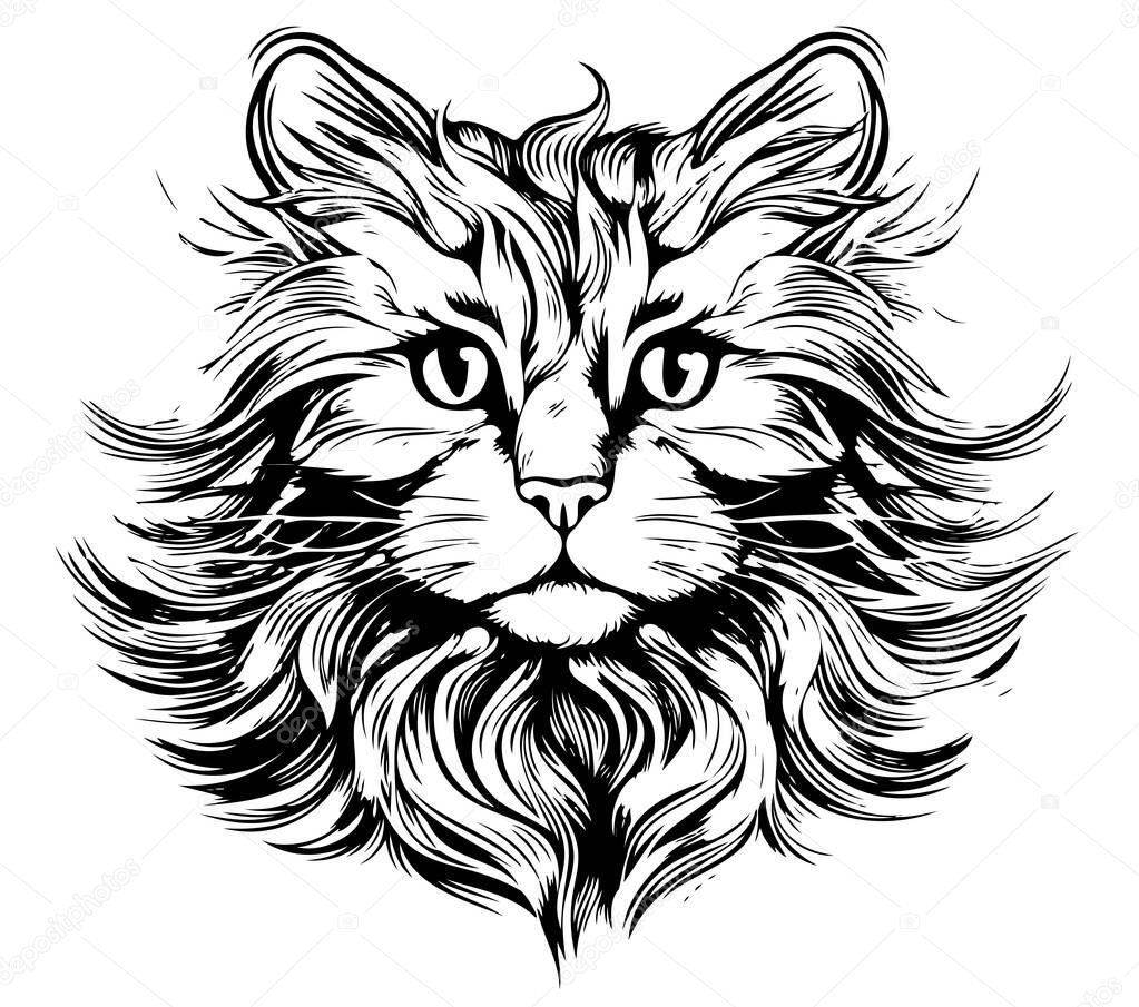 Fluffy cat head hand drawn sketch in engraving style Vector illustration. Pets