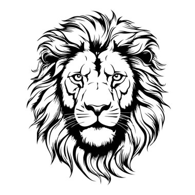 Aslan suratlı. Sketchy, grafiksel, siyah beyaz bir aslan başı portresi beyaz arka planda.