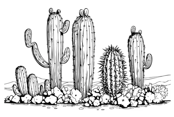 Elementos De Cacto Definem Estilo Mínimo De Desenho Animado Com Fundo Branco  E Traçado De Recorte Ilustração Renderizada Em 3d, Cacto Do Deserto, Desenho  De Cacto, Cacto Imagem de plano de fundo