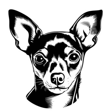 Vektör, Chihuahua Toy teriyeri köpeklerinden birini izole etti. Ön taraf siyah-beyaz, iki renk siluet. Lazer oyma ya da stencil için şablon, t-shirt için yazdırma