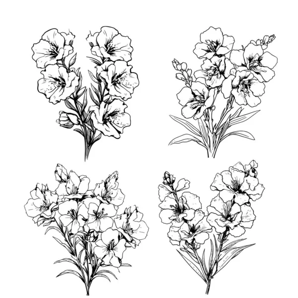 Larkspur hazır. Çiçek, kök, tomurcuk ve yaprak siyah renkte, çiçek desenleri desenli Delphinium, temmuz doğumlu larkspur çizimi.