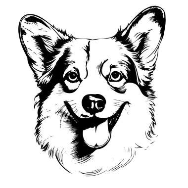 Corgi yavru köpek. Duvarda çıkartma var. Çizim, çizim, sanatsal, beyaz arka planda bir Corgi köpeğinin portresi..