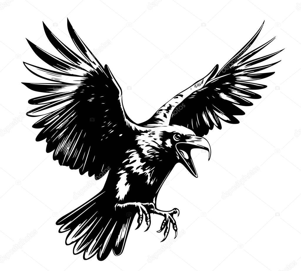 Crow attack icon cartoon vector. Art feather. Ink fly.Vector