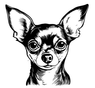 Vektör, Chihuahua Toy teriyeri köpeklerinden birini izole etti. Ön taraf siyah-beyaz, iki renk siluet. Lazer oyma ya da stencil için şablon, t-shirt için yazdırma