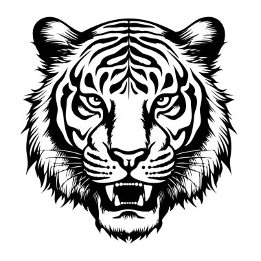 Tiger head growling sketch hand drawn in doodle style Vector illustration clipart