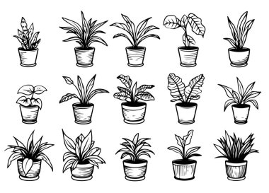 Set of Houseplants outline drawings. Indoor exotic flowers in pots line art. Dracaena, ficus, cacti, snake plant for home interior plans, design. Vector illustrations isolated on white background.