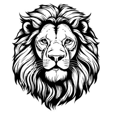 Aslan portresi aslan başı çizim el oyma stili Vahşi Hayvan Vektör illüstrasyonu