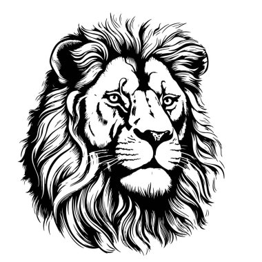 Aslan portresi aslan başı çizim el oyma stili Vahşi Hayvan Vektör illüstrasyonu