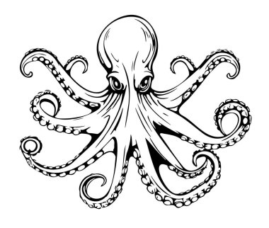 Cephalopod sınıfına ait dev bir Pasifik ahtapotunun detaylı siyah beyaz çizimi. Çizim, karmaşık bir simetri ve dairesel bir bileşim içeriyor.