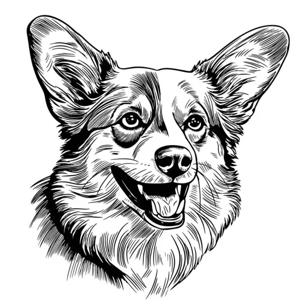 Komik Pembroke Galli Corgi köpeği. Eski moda hipster tarzı komik Pembroke Welsh corgi sosislisi eskizi. vektör illüstrasyonu.