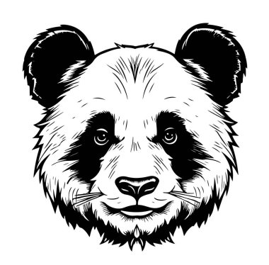 Panda başı simetrik görünüş sağa, çizim vektörü grafikleri siyah ve beyaz çizim