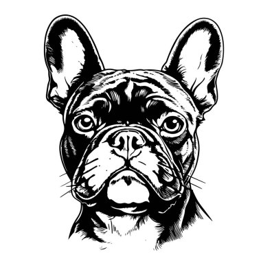 Cute french bulldog sketch. Vector illustration in hand-drawn style . Image for printing on any surface clipart